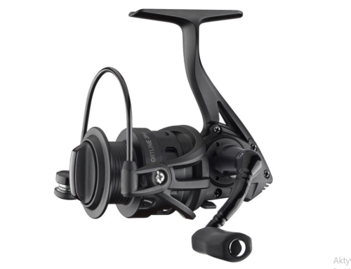 12-22250 cormoran.png