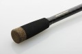 sg2 medium 2.jpg