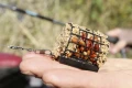 resize_img (3).png