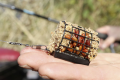 resize_img (2).png
