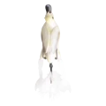 57655.Png