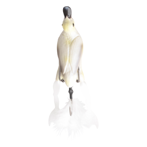 57655.Png