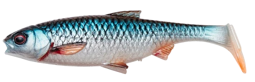 3DRIVERROACH_roach.png