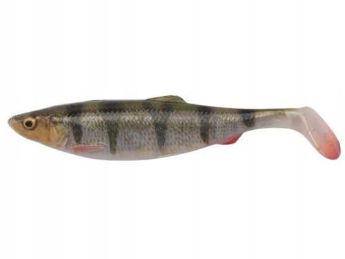 herringperch.jpg