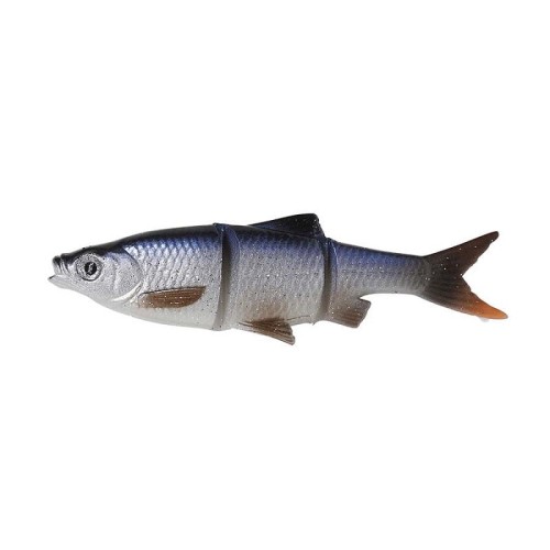 swim&jerkroach.jpg