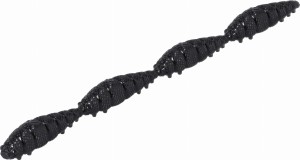 MIKADO LARWA PRZYNĘTA M-AREA MULTI INSECT- 4X23MM/BLACK - OP.8SZT.