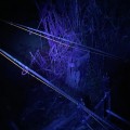 9803536dd218f7755b9121b5ee94ed77